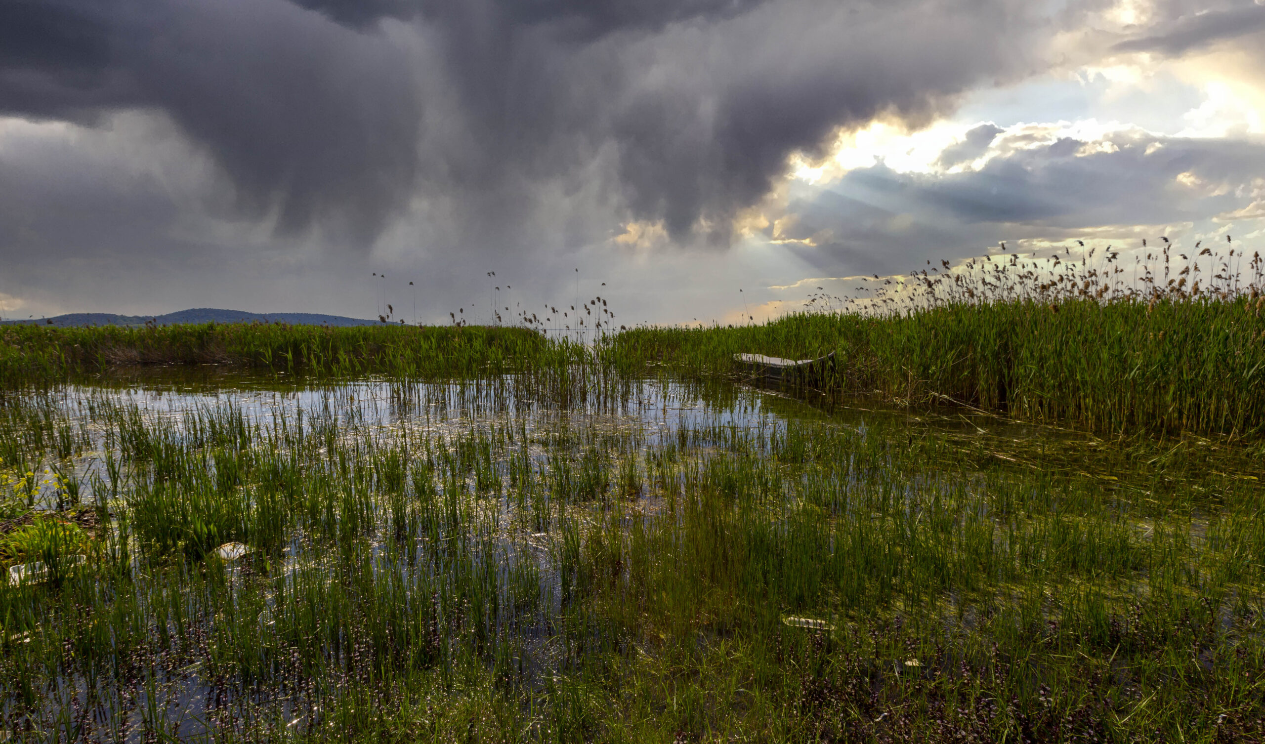 Wetland landscape under dramatic, dark grey clouds